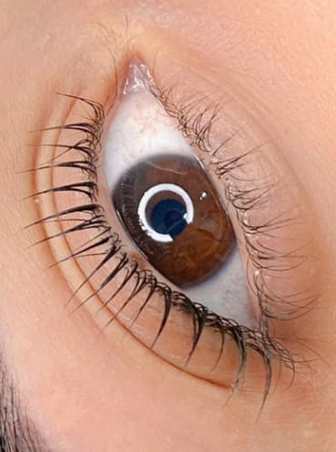Lash Lifting
